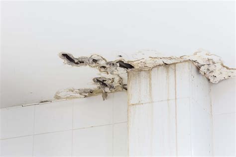 ceiling leaking after shower|Water Leaking From Ceiling – Signs, Causes and。